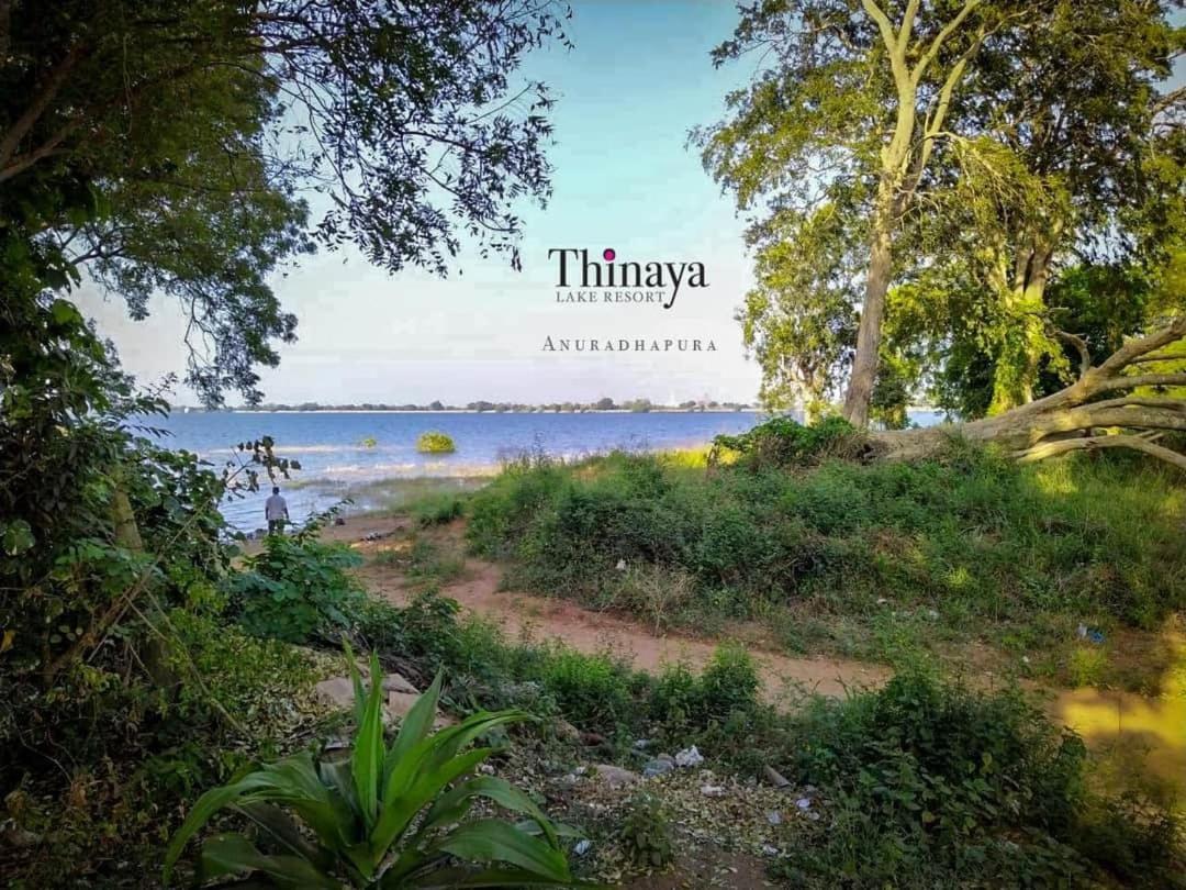 Thinaya Lake Resort Anuradhapura Exteriör bild